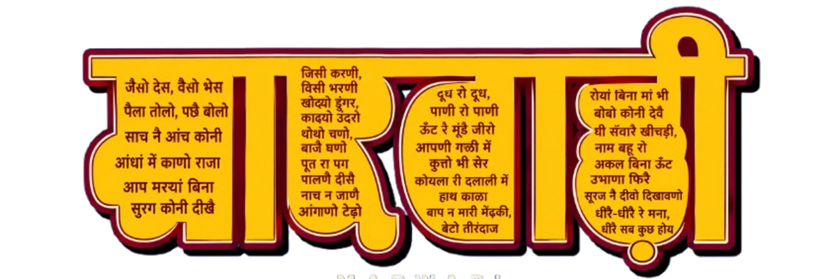 Marwari Proverb Printed Oversized Unisex Tee